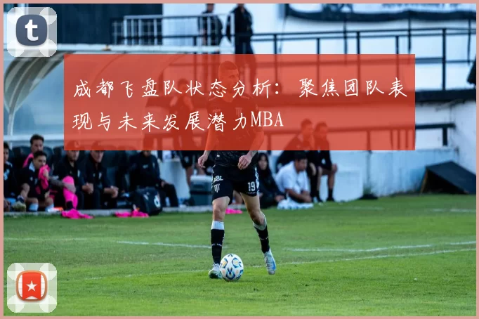 成都飞盘队状态分析：聚焦团队表现与未来发展潜力MBA