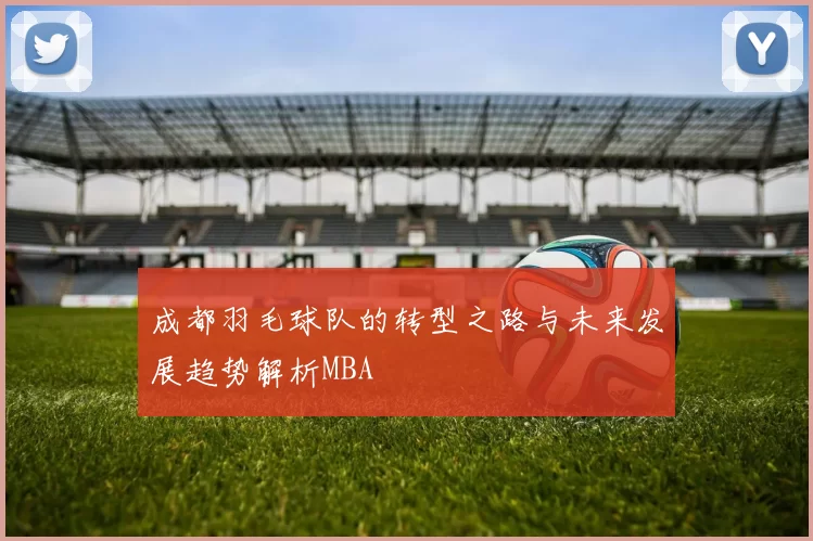 成都羽毛球队的转型之路与未来发展趋势解析MBA