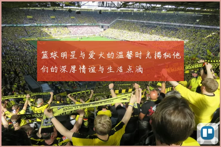 篮球明星与爱犬的温馨时光揭秘他们的深厚情谊与生活点滴