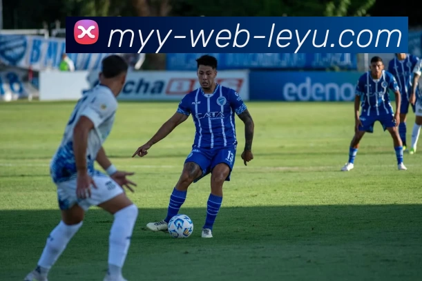 leyu乐鱼体育app下载平台生态图